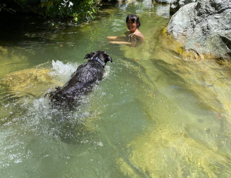 swimming with ori